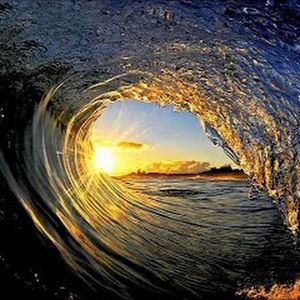 Meet your Posher, Demi